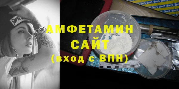 гашик Няндома
