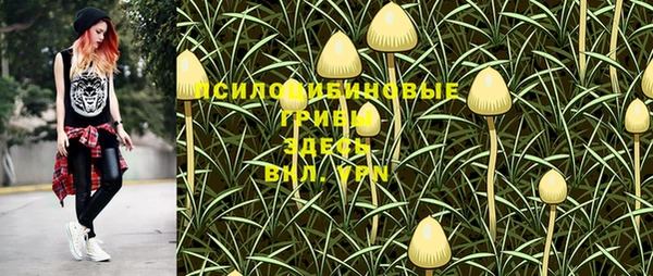 кристаллы Новодвинск