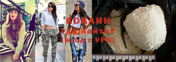 гашик Няндома