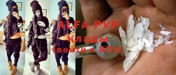 гашик Няндома
