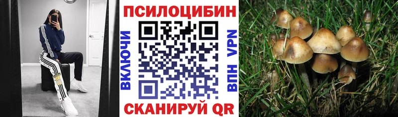 Галлюциногенные грибы Psilocybe  ссылка на мегу как войти  Сальск 