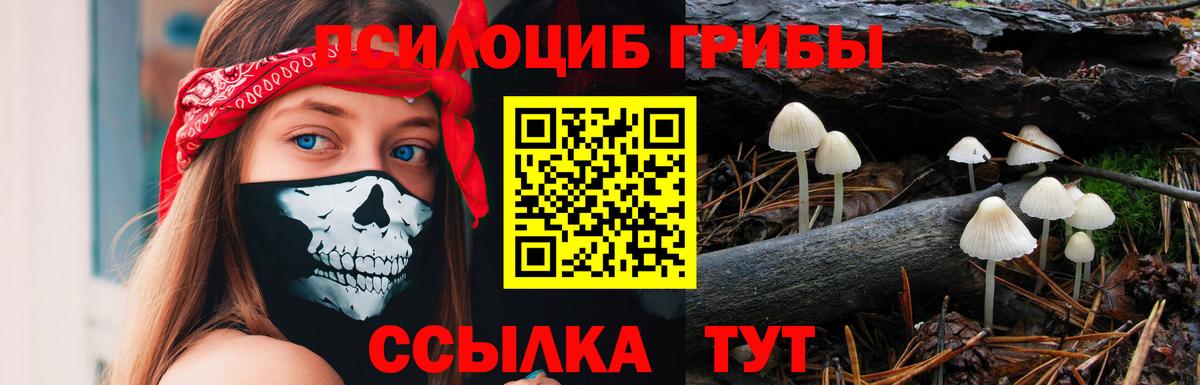 Псилоцибиновые грибы ЛСД  Вход с VPN  Сальск 